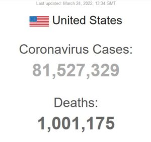 Dødstallet for COVID-19 i USA har officielt passeret 1 million-grænsen. USA er det første land, der har nået denne dystre milepæl, siden pandemien begyndte. 