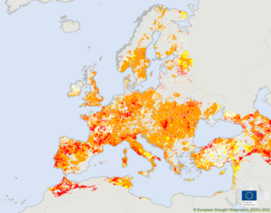Welcome to the European Drought Observatory!