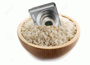 kamera i raa ris