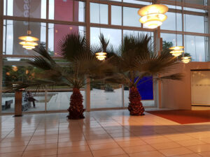 de nuværende palmer i Musikhuset 07.sept 2022